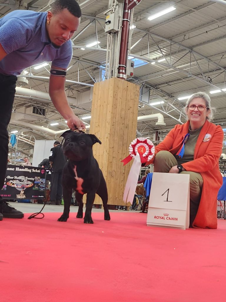 Meilleur Jeune Paris Dogs Show 2023